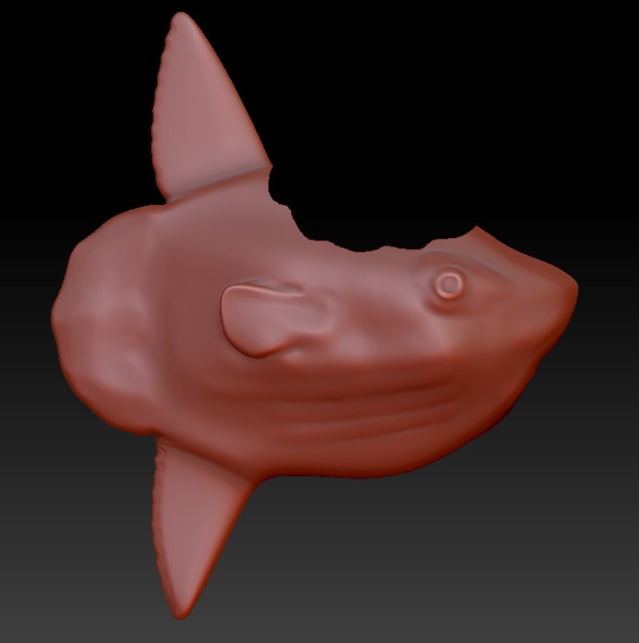 3D Model 1